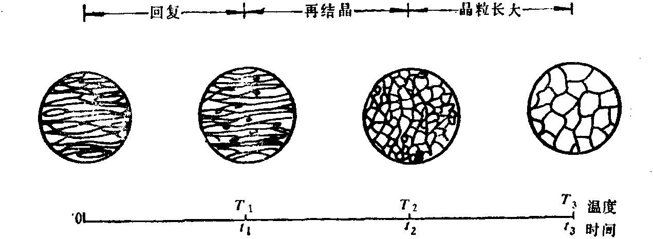 再结晶退火过程